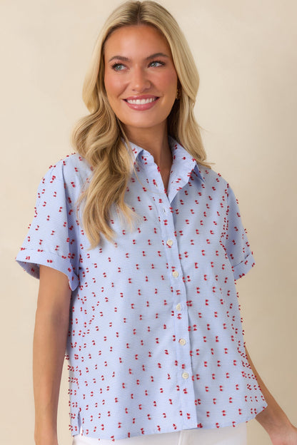 Prosperina Meg Blue Gingham Embroidered Top