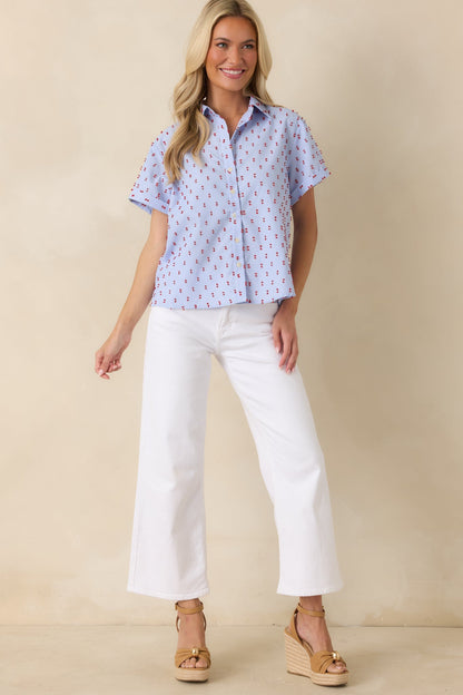 Prosperina Meg Blue Gingham Embroidered Top