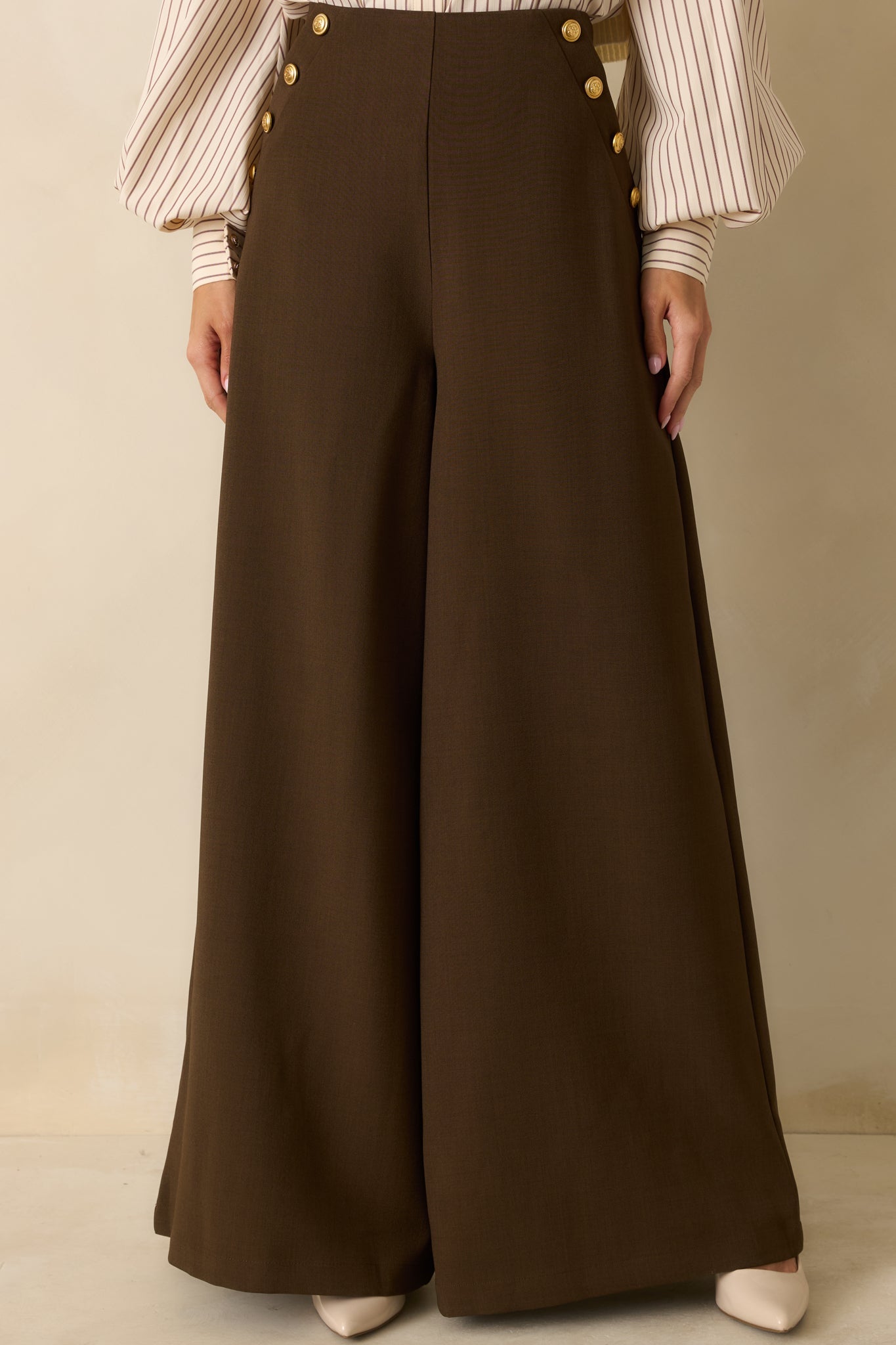 Chart the Course Dark Brown Wide Leg Button Pants