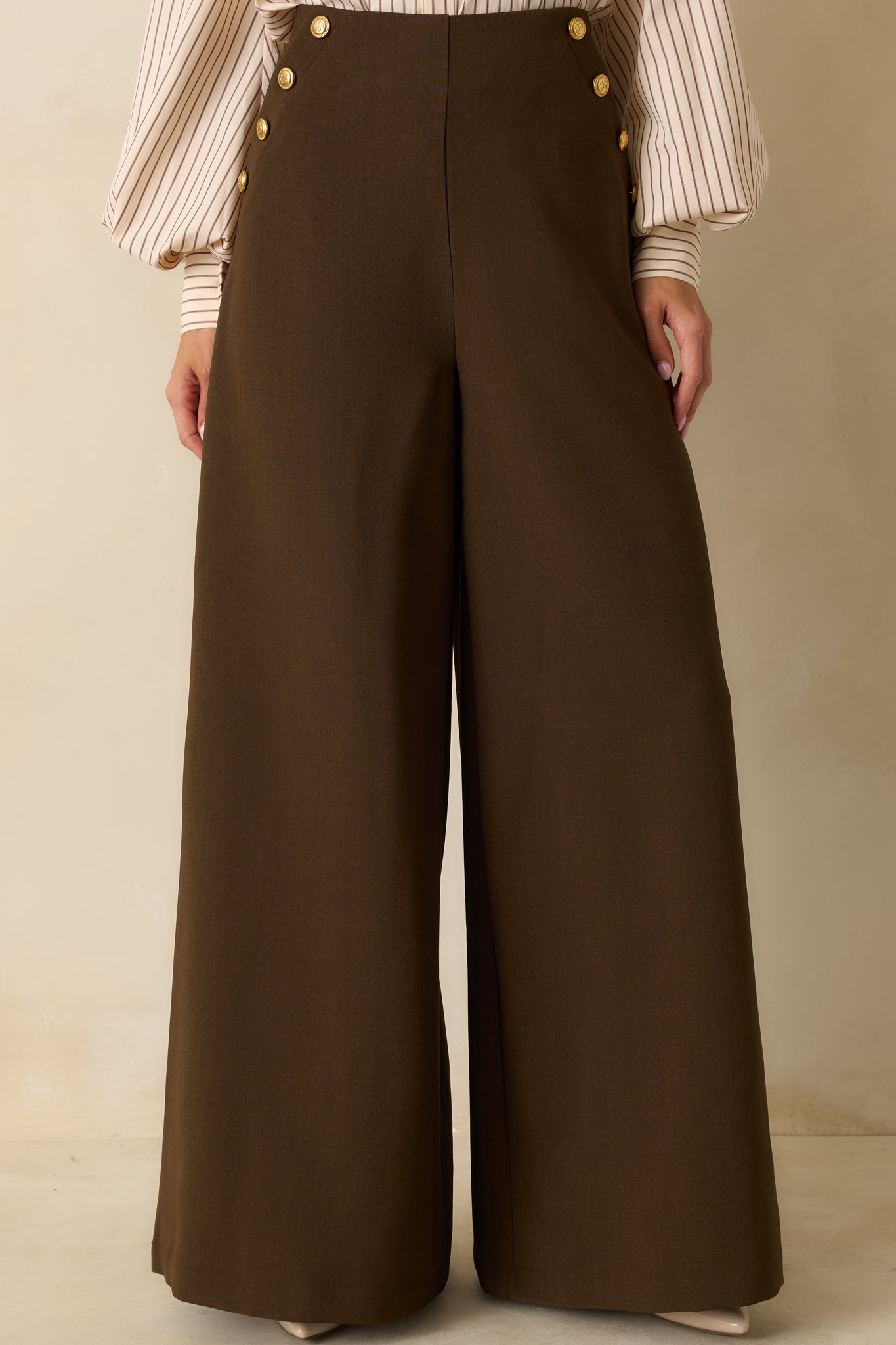 Chart the Course Dark Brown Wide Leg Button Pants