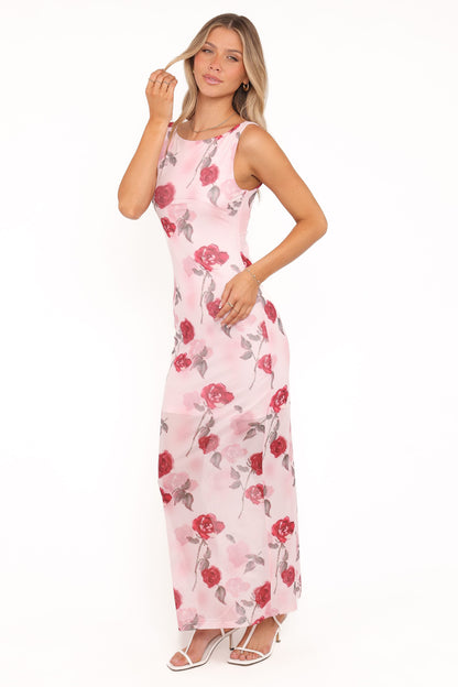 Brissa Maxi Dress - Pink Floral